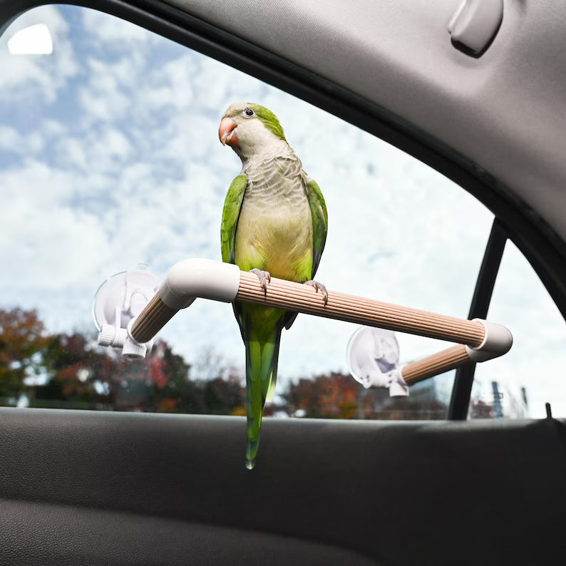 Adjustable Beech Wood Parrot Perch for Car Window | Dual Suction Cup Bird Rest