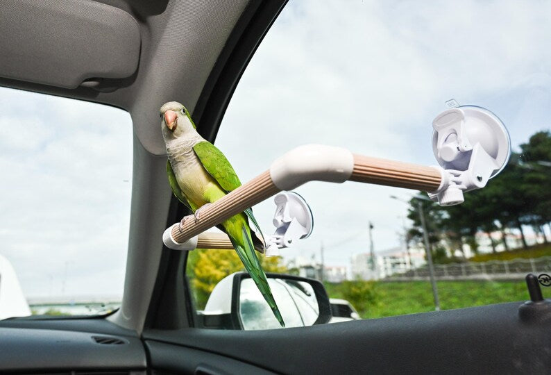Adjustable Beech Wood Parrot Perch for Car Window | Dual Suction Cup Bird Rest