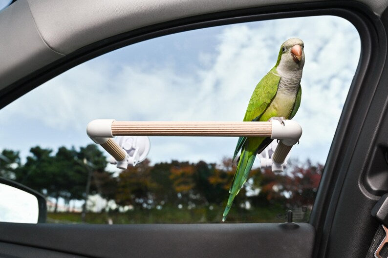 Adjustable Beech Wood Parrot Perch for Car Window | Dual Suction Cup Bird Rest